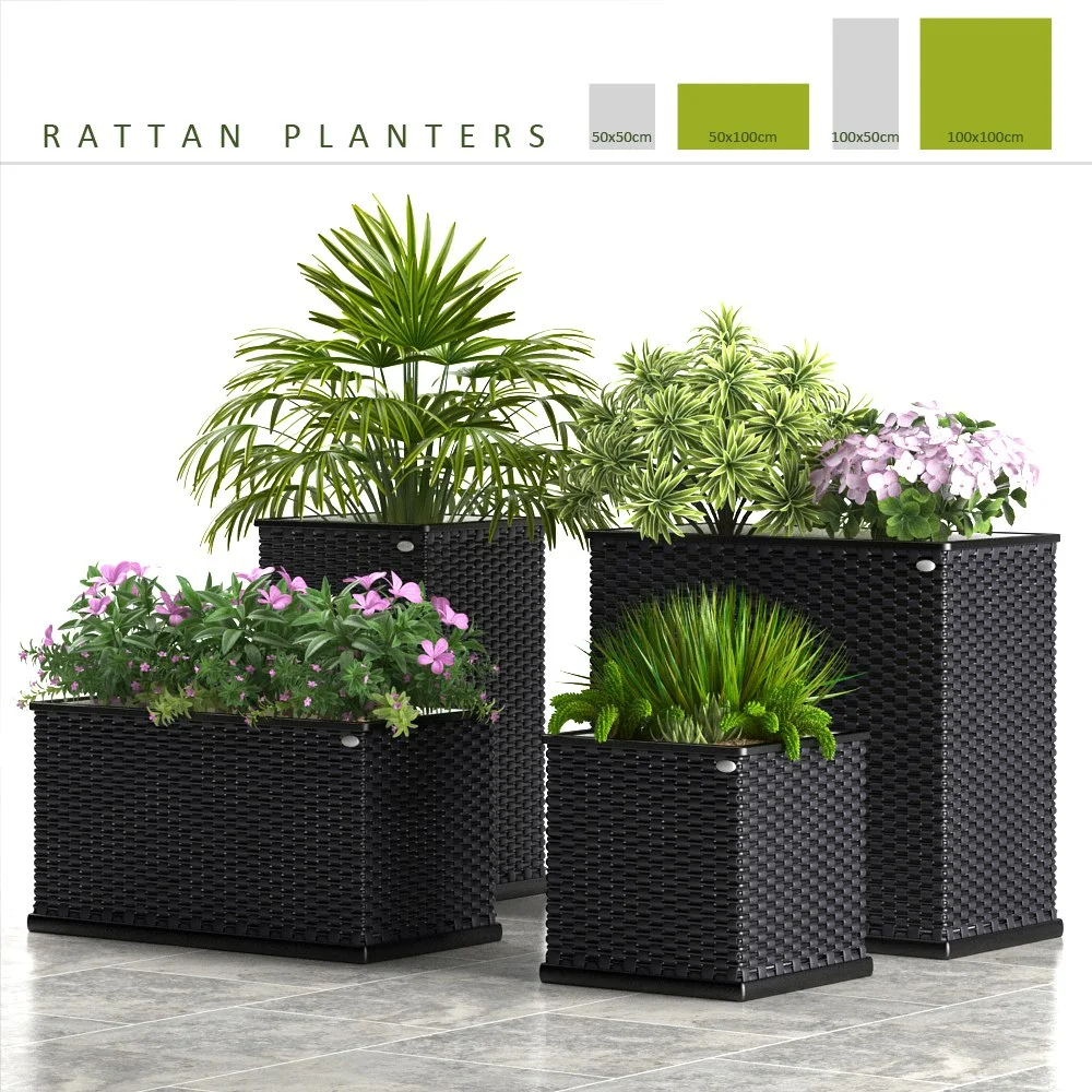 PLANTS 58_RATTAN PLANTERS